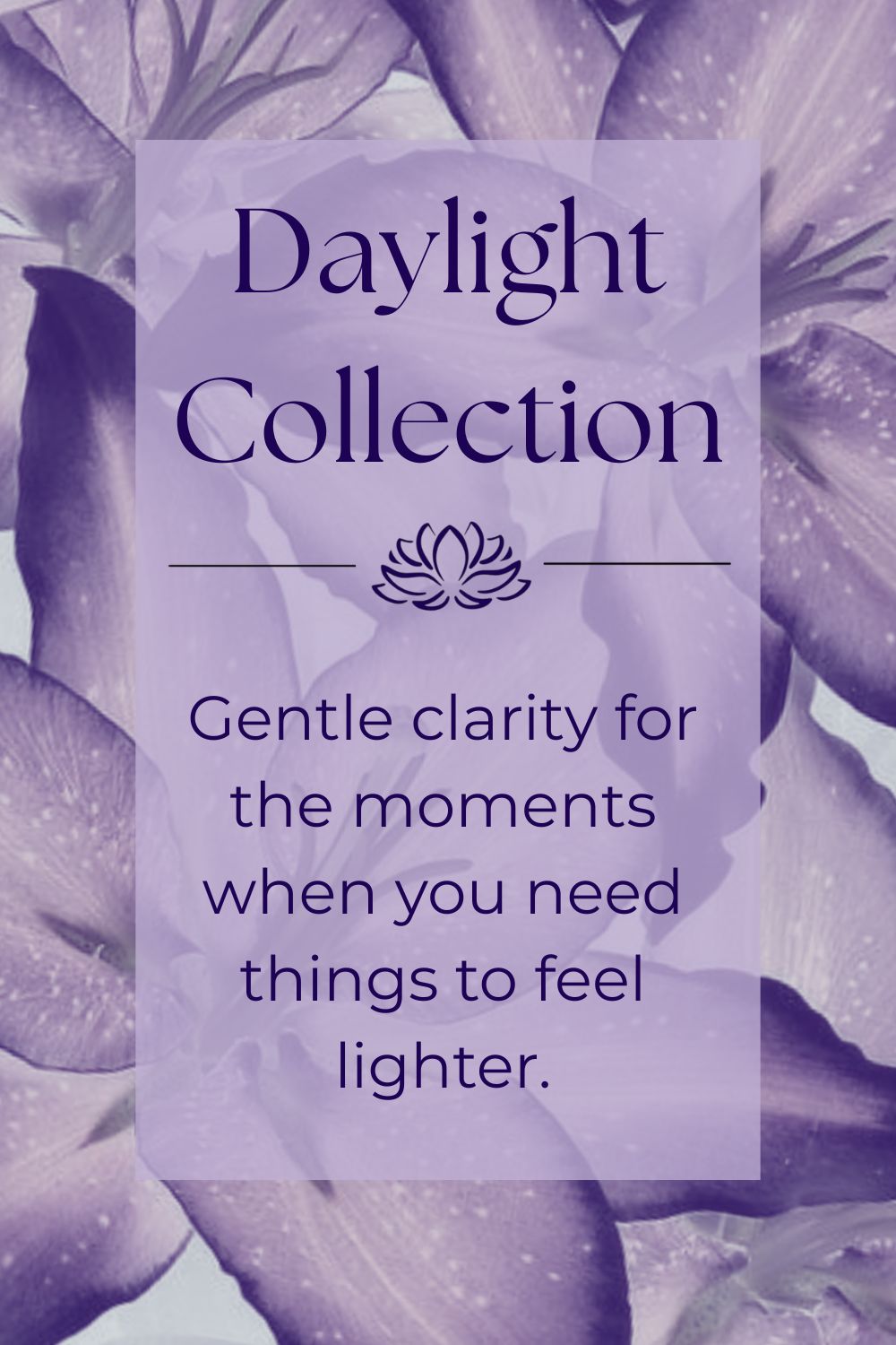 Daylight Collection